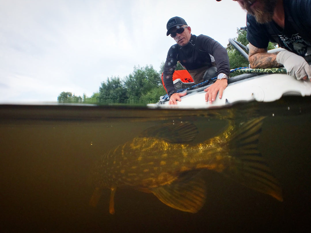 Fly Fishing for River Pike