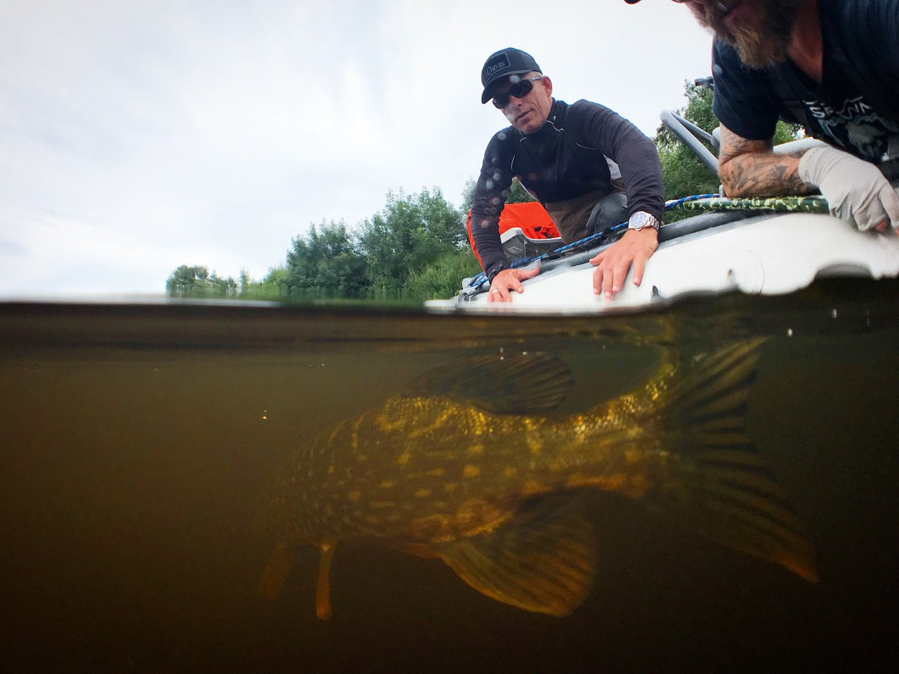 Fly Fishing for River Pike