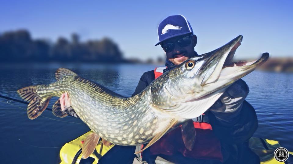 Fall Fly Fishing: Pike's Awakening