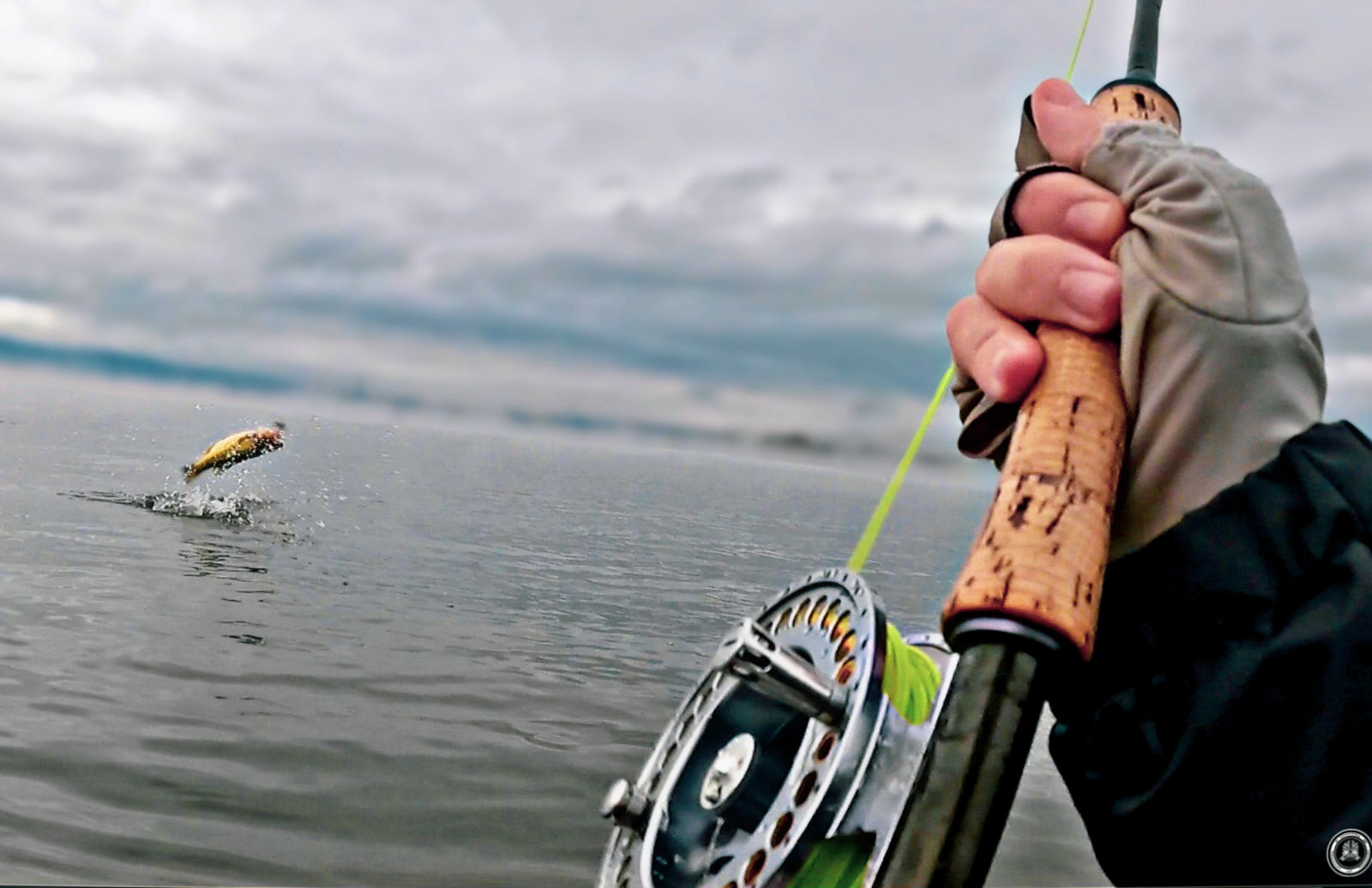 Explosion On The Surface: Topwater Flies and Streamers For Fly Fishing Largemouth Bass