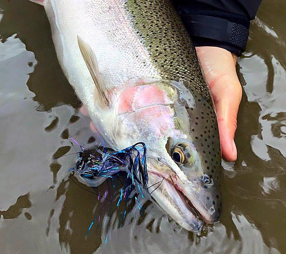 Fly fishing with confidence: How to get the most from a day on the water.