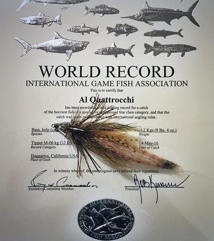 Two fly fishing world records in one morning!