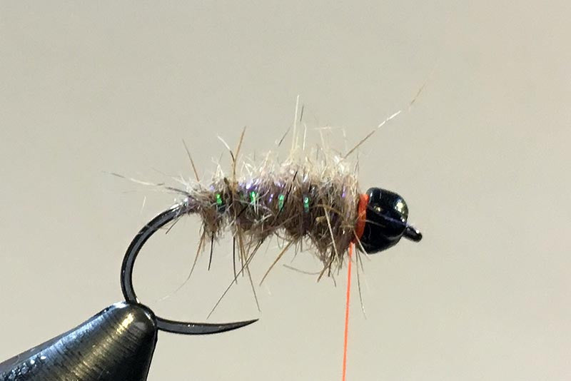 3-minute fly: Tie The Sexy Walt's nymph.