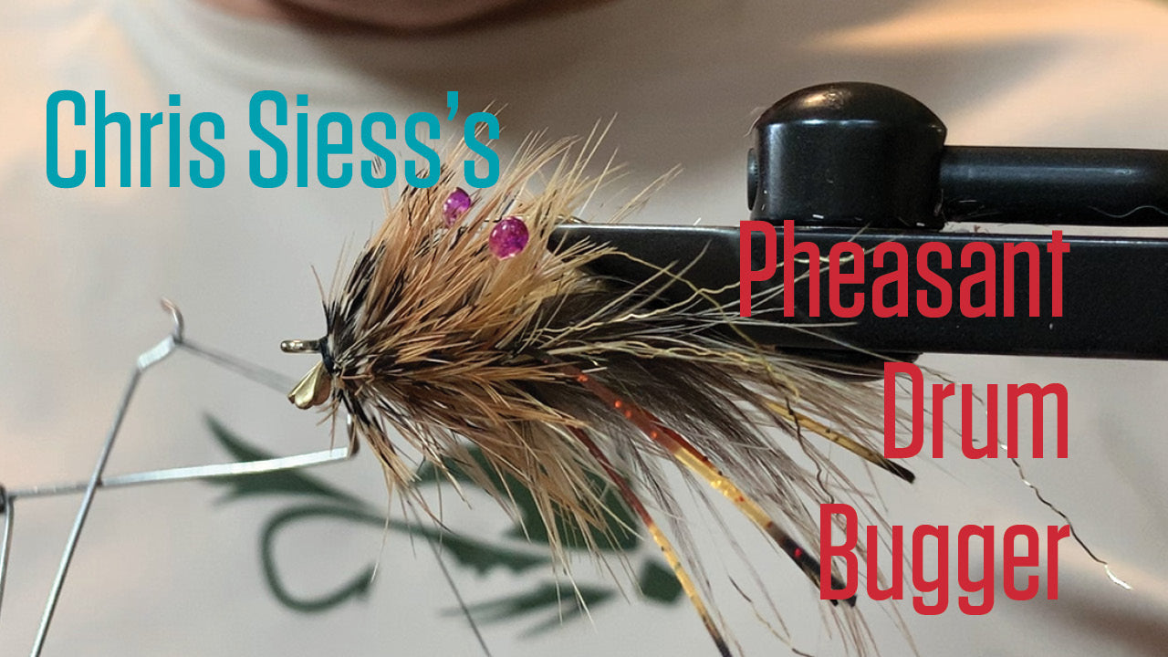 #TyingTuesday: Pheasant Drum Bugger