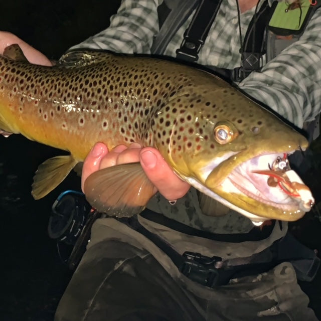 The Dark Side… Night Fishing for Big Brown Trout