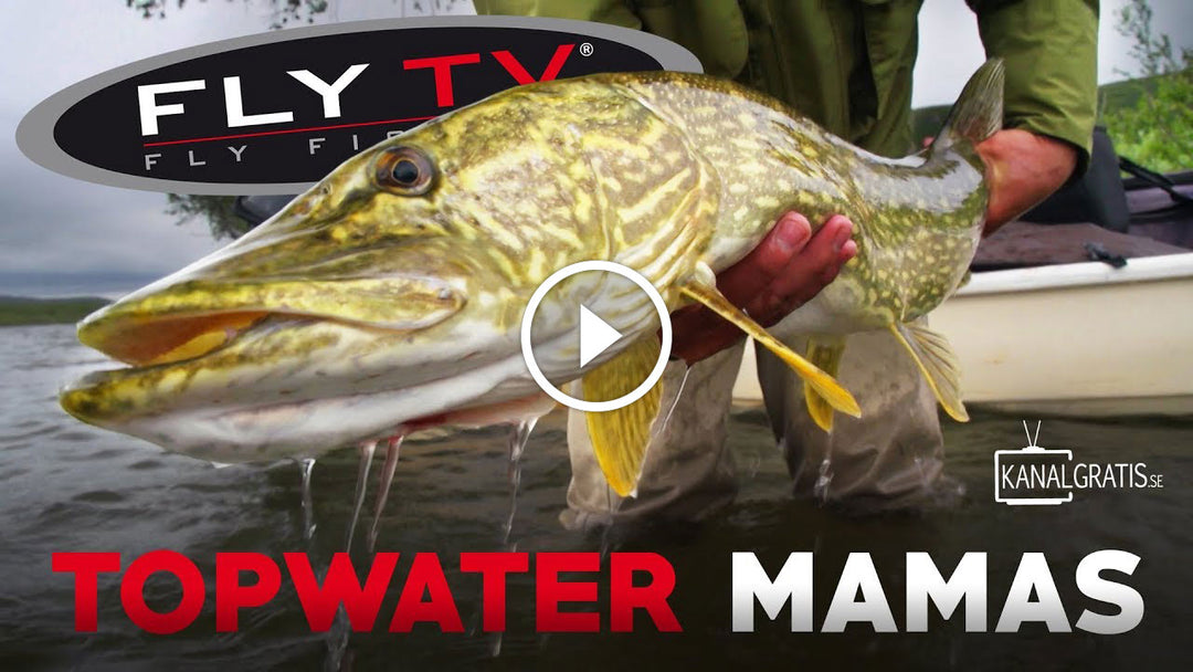 Fly Fishing for Big Pike in the Mountains of Northern Sweden