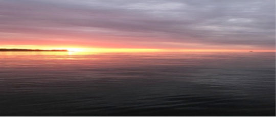 First Light: Dawn Striper Fly Fishing