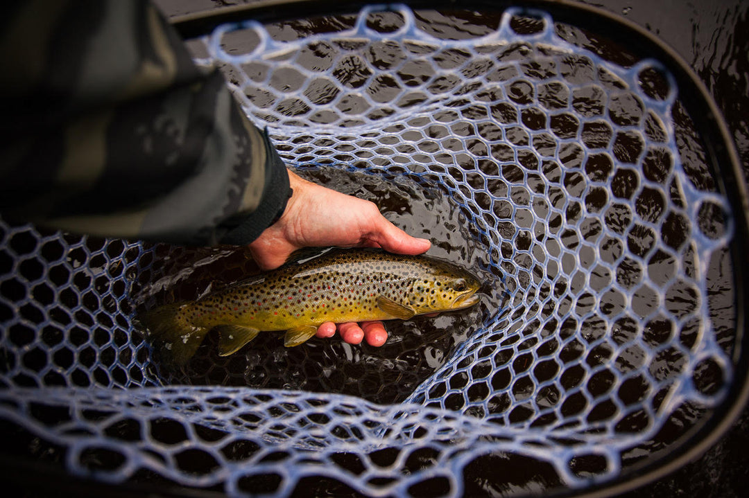 Small Stream Fly Fishing Tactics