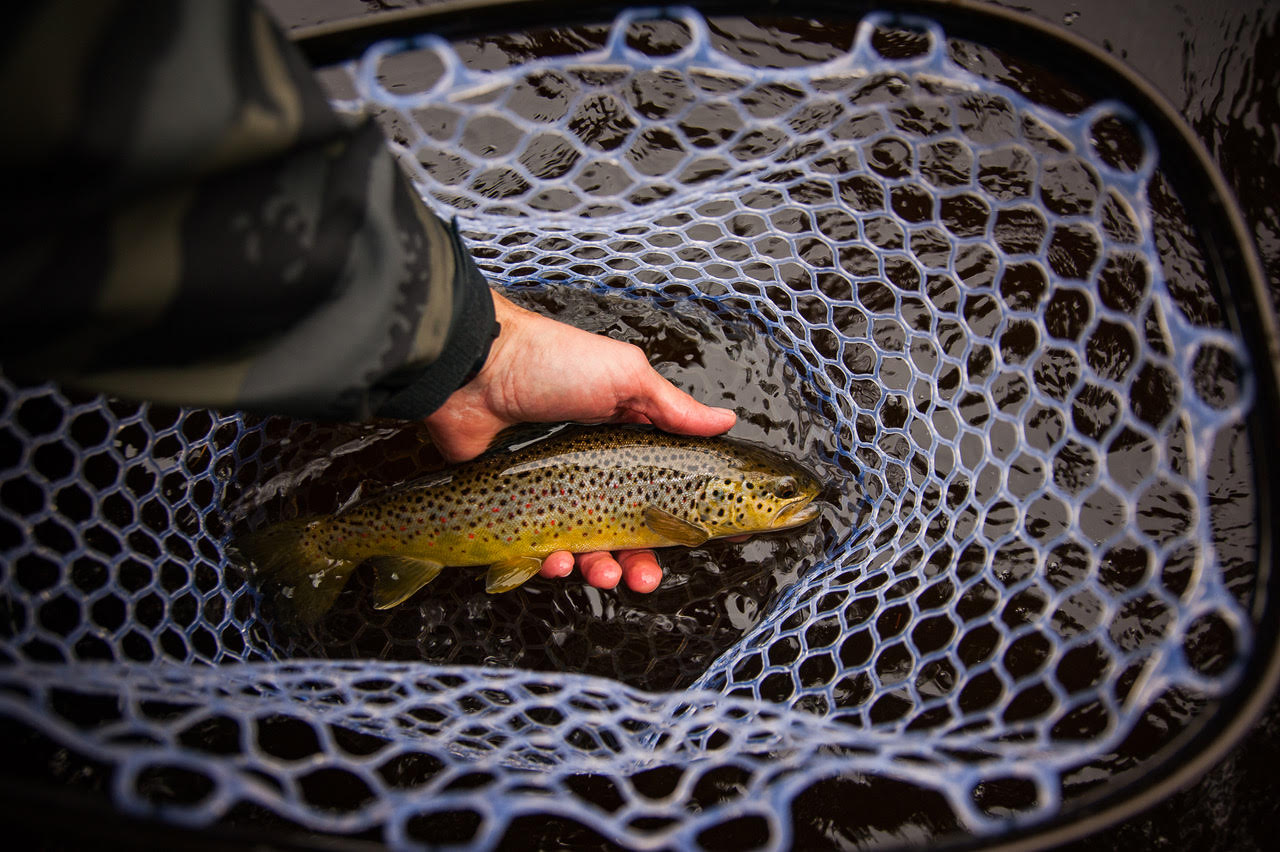 Small Stream Fly Fishing Tactics