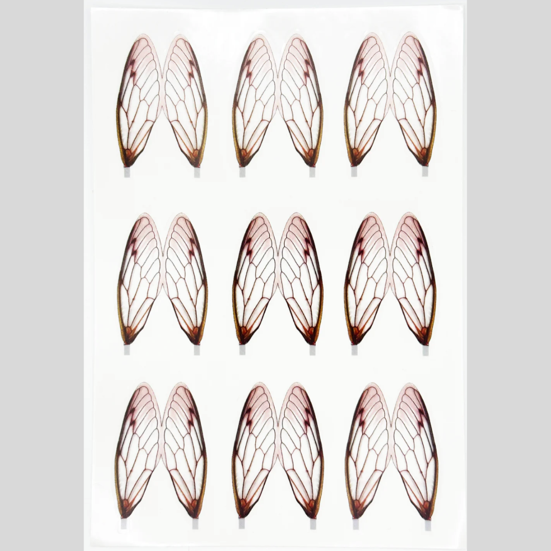 Surface Seducer® Cicada Wings