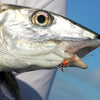 NEW Fish-Skull® Shrimp & Cray Tail™ - Flymen Fishing Company
 - 27