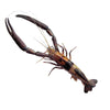 NEW Fish-Skull® Shrimp & Cray Tail™ - Flymen Fishing Company
 - 31