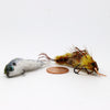 Fish-Skull® Articulated Micro-Spine