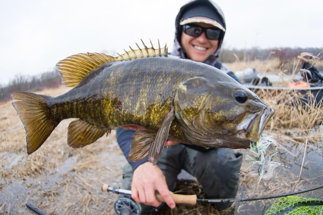 Fly Fishing Guide Tips: How to Prepare to Fish the Upper Midwest for Warm Water Species