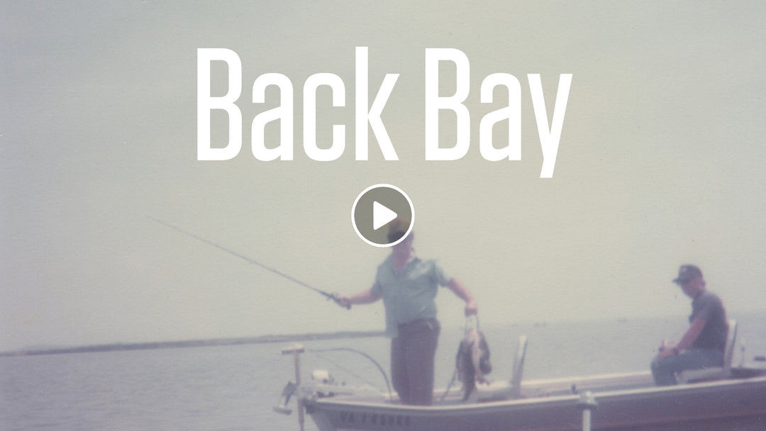 Back Bay Film Trailer