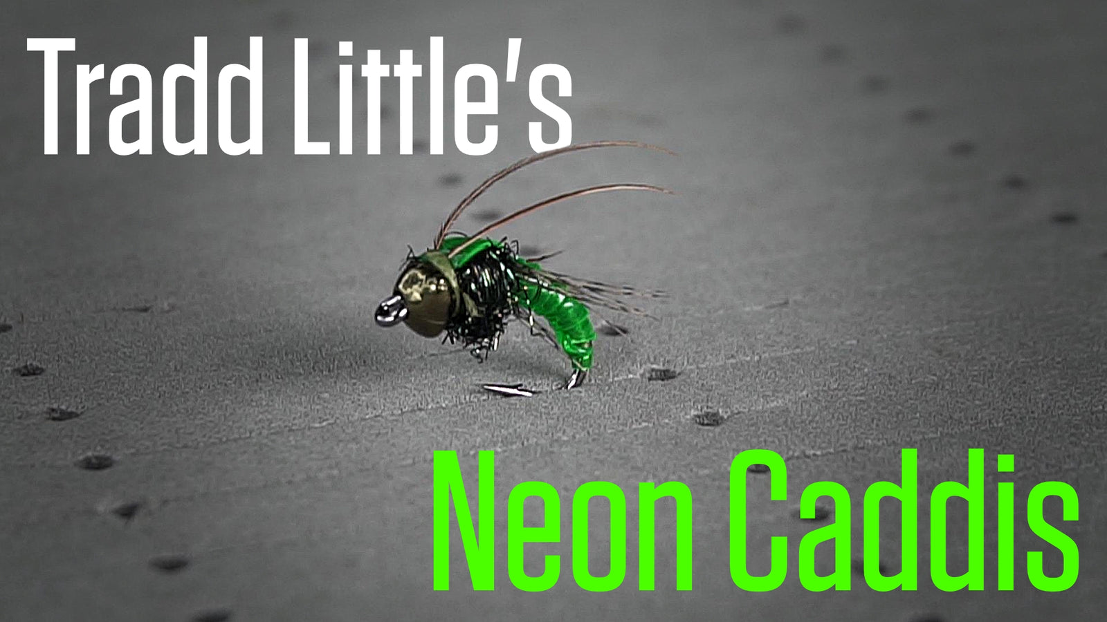 Fly Tying Tutorial: Tradd Little's Neon Caddis