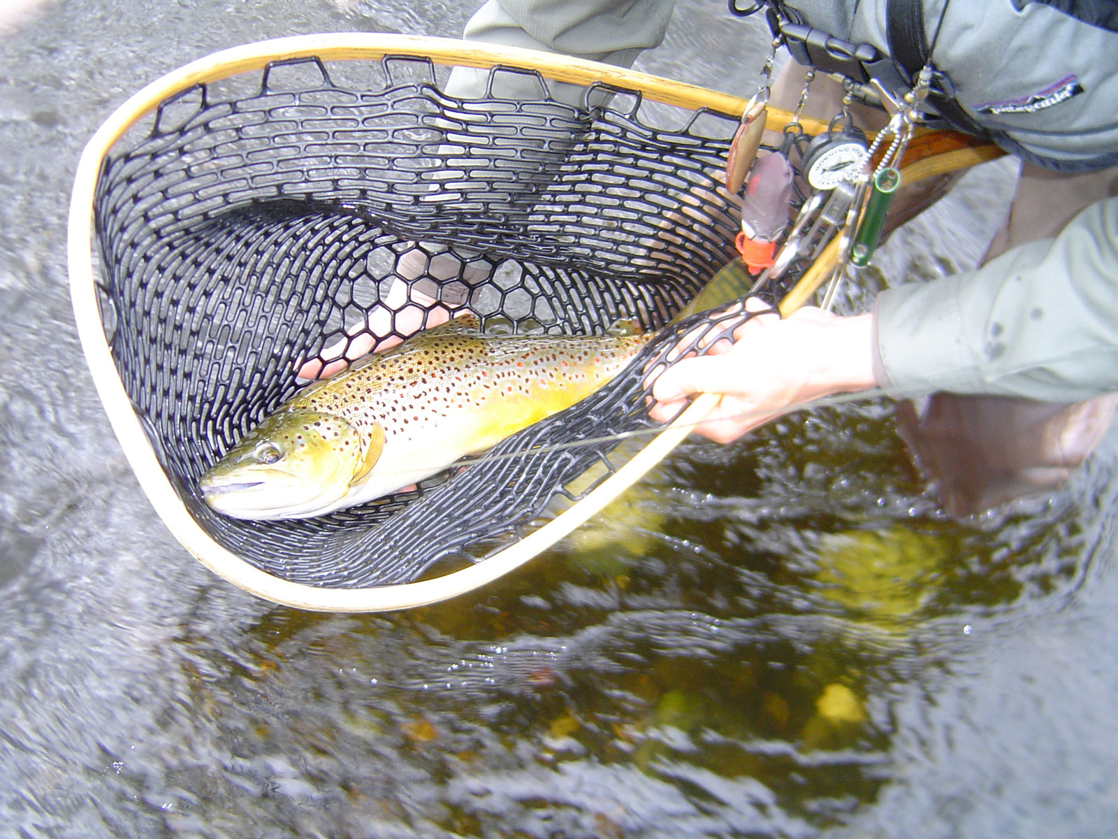 3 Tips To Improve Your Streamer Fly Fishing