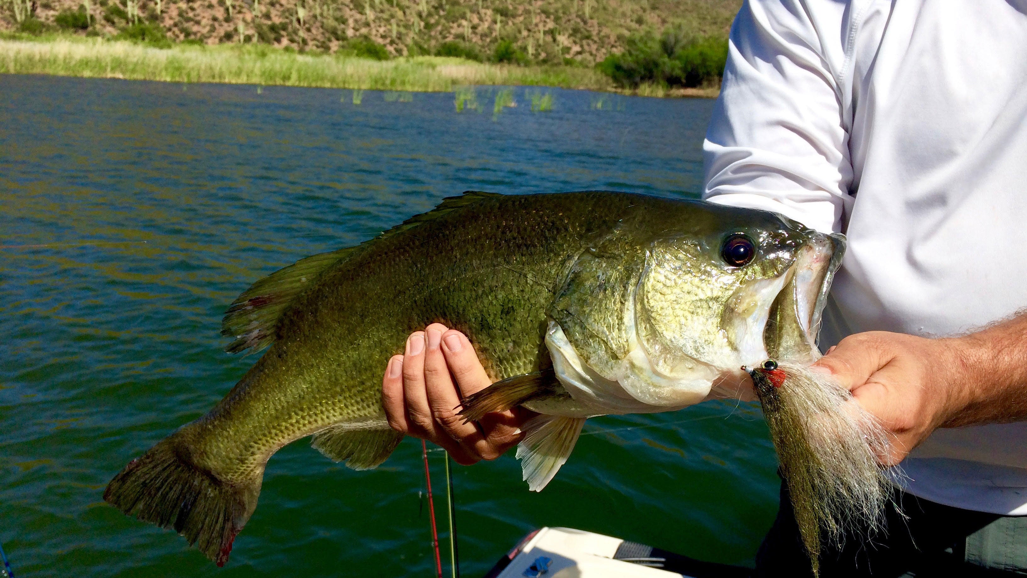 Tricks of the Tip for Hard-Water Success - Rapala