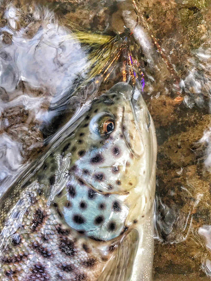 Tandem Tactics for Trout. Part One: Touching The Surface - Fly