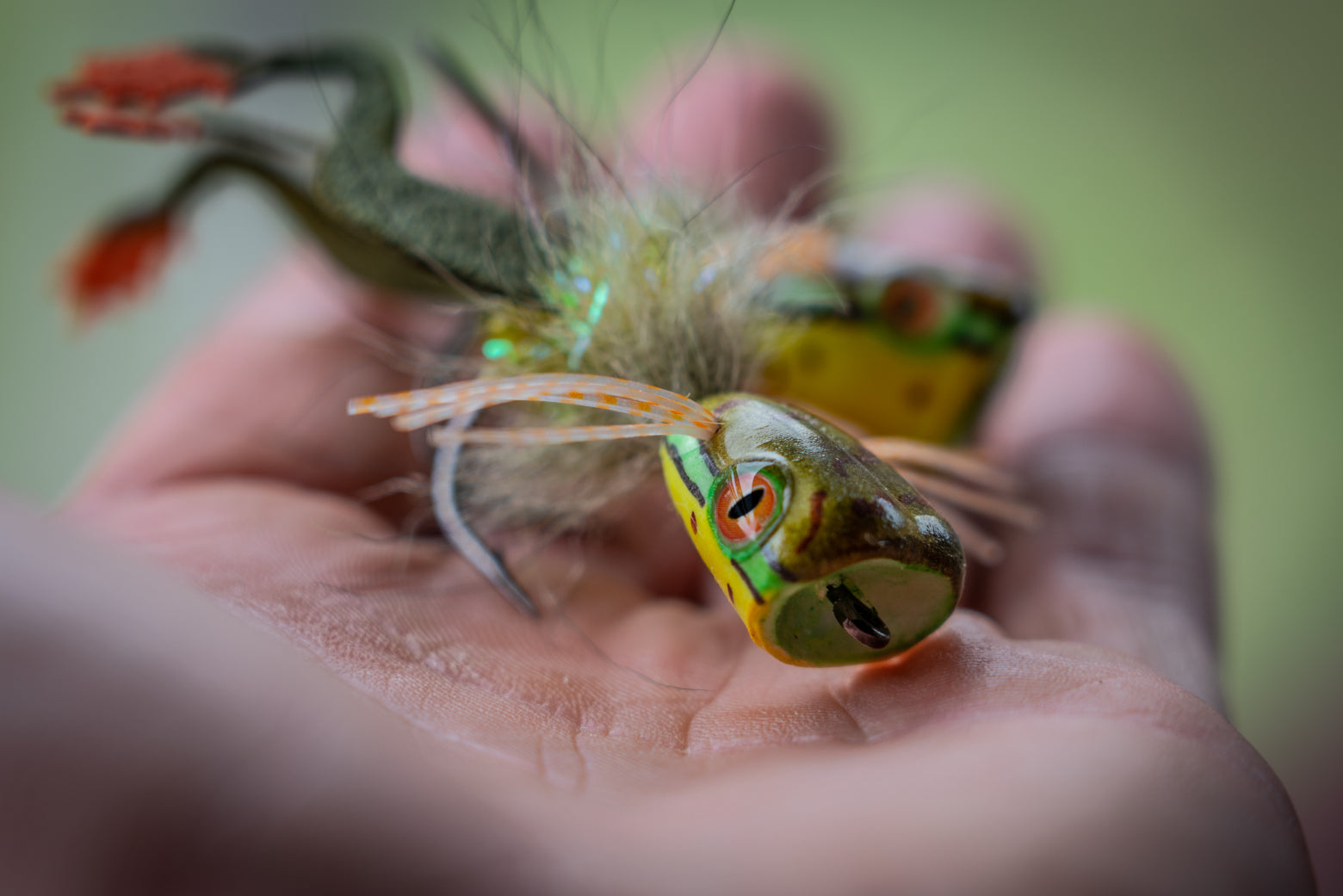 Matching the Hatch with Tadpole and Frog Flies: Fly Fishing and Tying -  Flymen Fishing Company