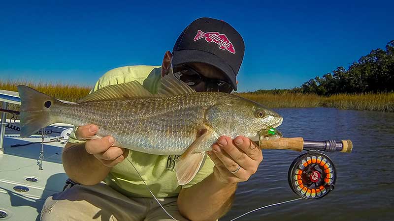 Lowcountry shad: Where and how to catch the tasty fish, Fishing