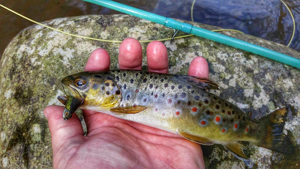 Small Water Fly Fishing: Streamer Design and Tactics - Flymen