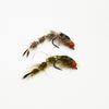 Trout Fly Assortment