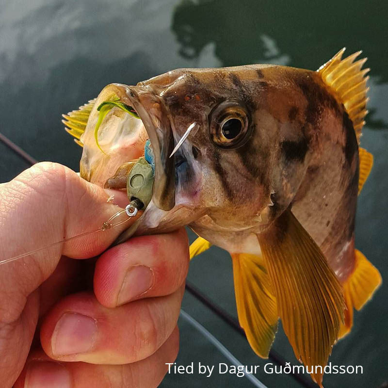 Pack Of 20 Fly Tying Sculpin Heads – 3D Fish Eyes, Fast Sinking, For Trout Fishing Flies, Size S & L Options