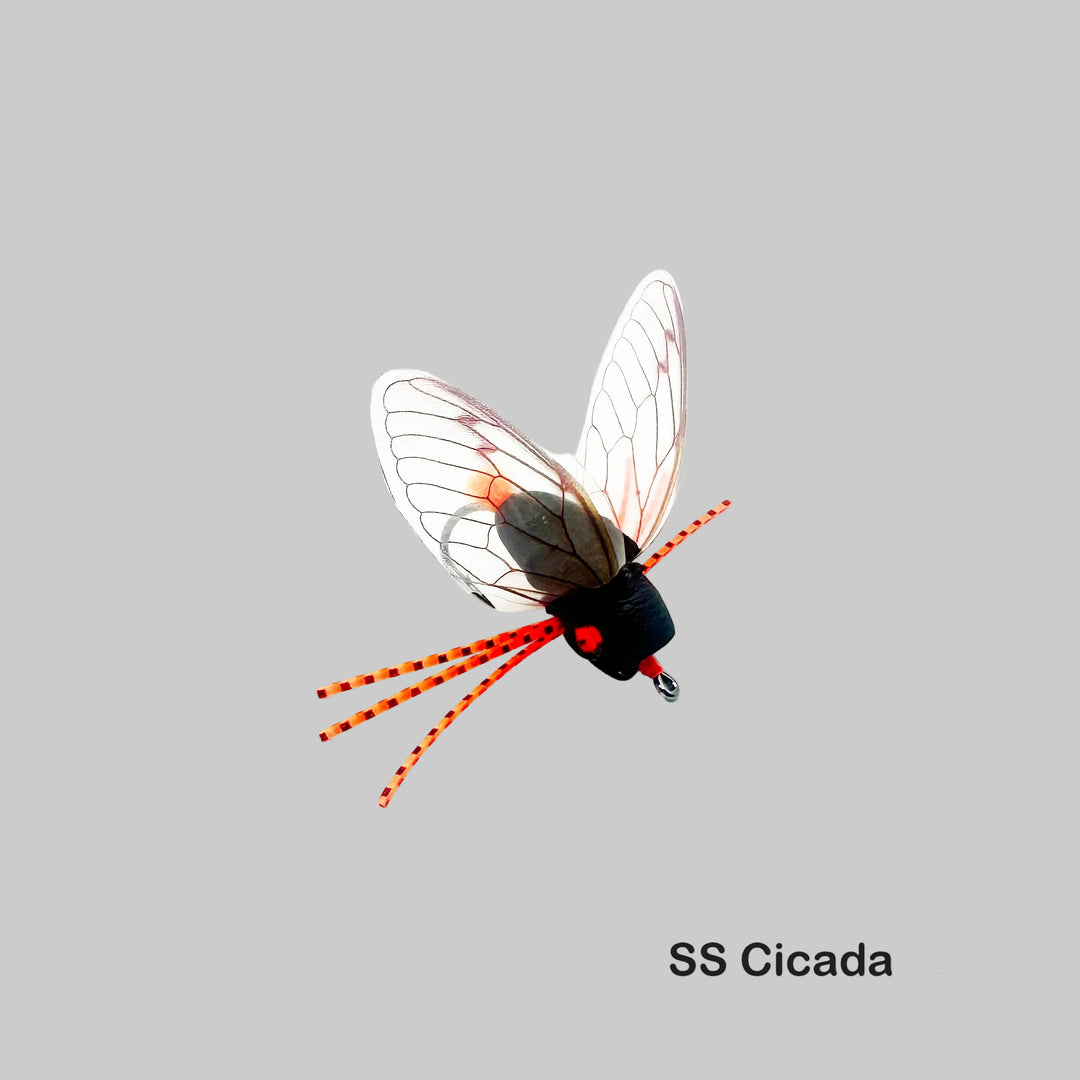 cicada fly fishing lure True Fly by Colorado Fly Supply - Realistic Cicada Fishing - 3 Pack The Reef Runner Cicada blade bait is perfect for casting and jigging Surface Seducer Cicada Fly -