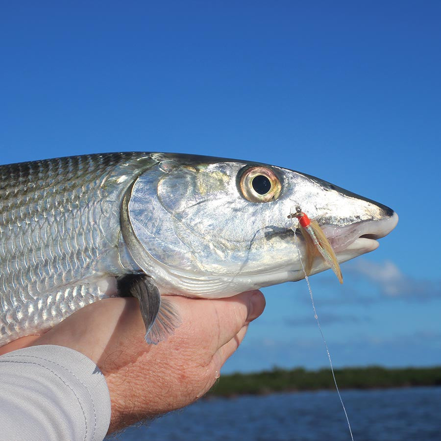 Bonefish Range Fish-Skull SCT Bonefish Fly Range - Flymen Fishing Company