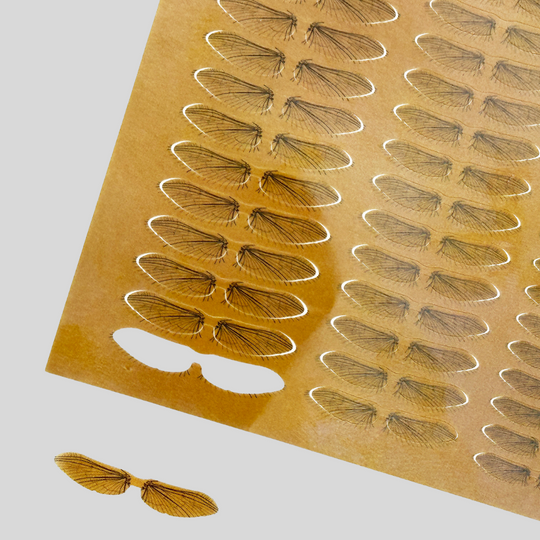 Mayfly Wings