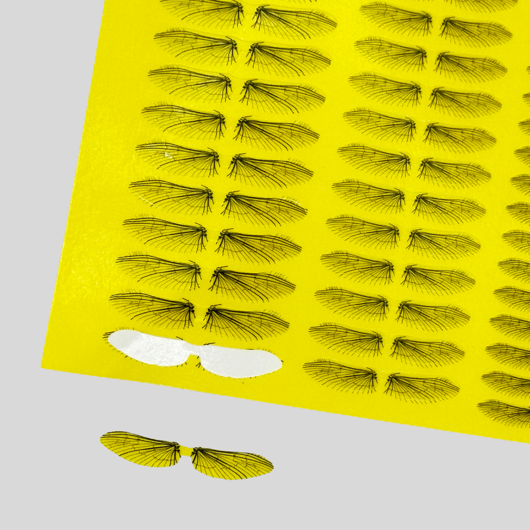 Mayfly Wings