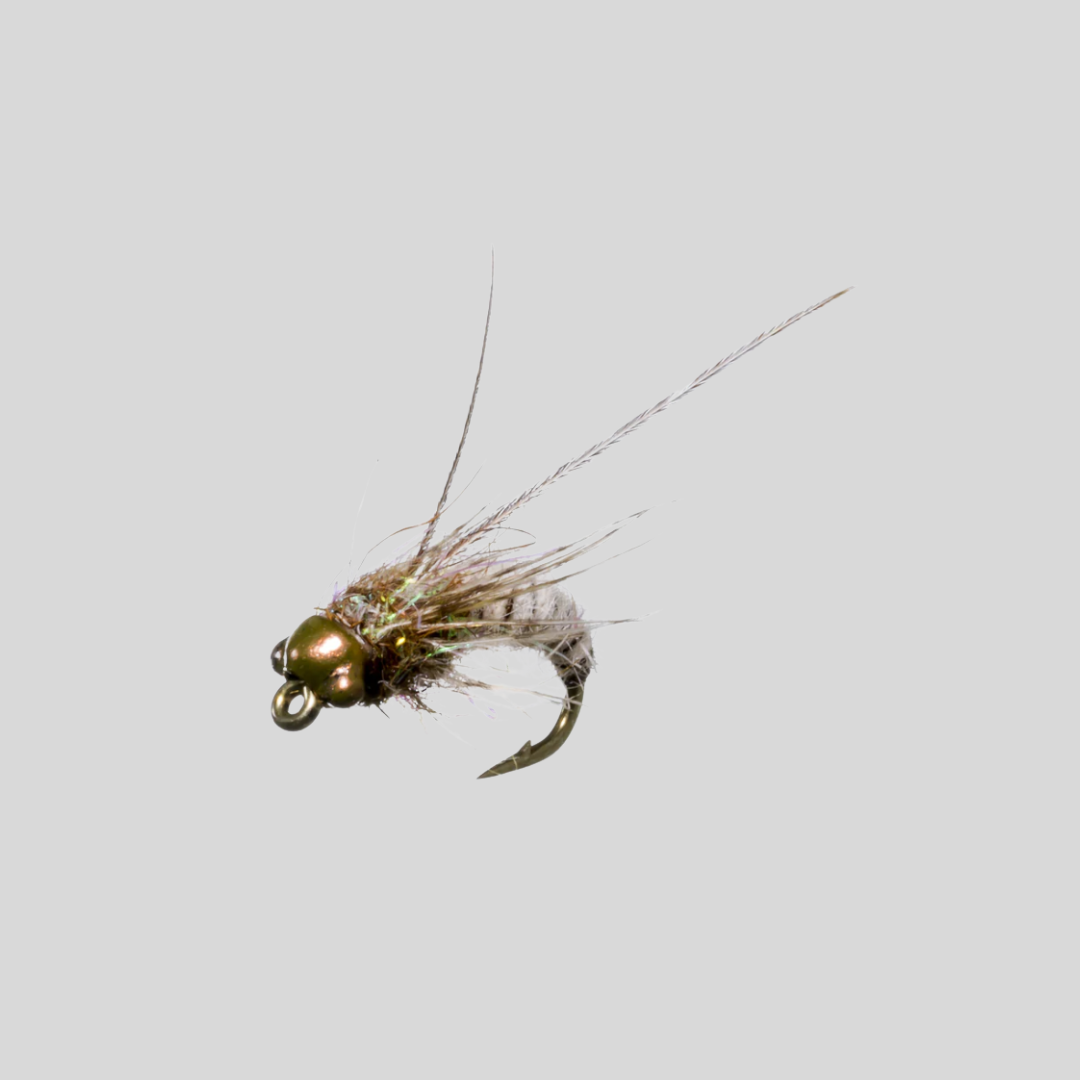 1 DZ D18-3 BEAD HEAD OCTOBER CADDIS PUPA, (SIZES AVAILABLE) NYMPHS