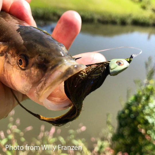 Fish-Skull® Bandito Sculpin Head