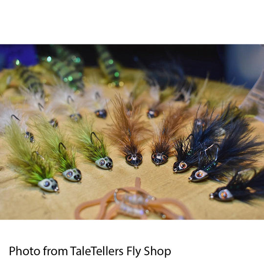 Fish-Skull® Bandito Sculpin Head