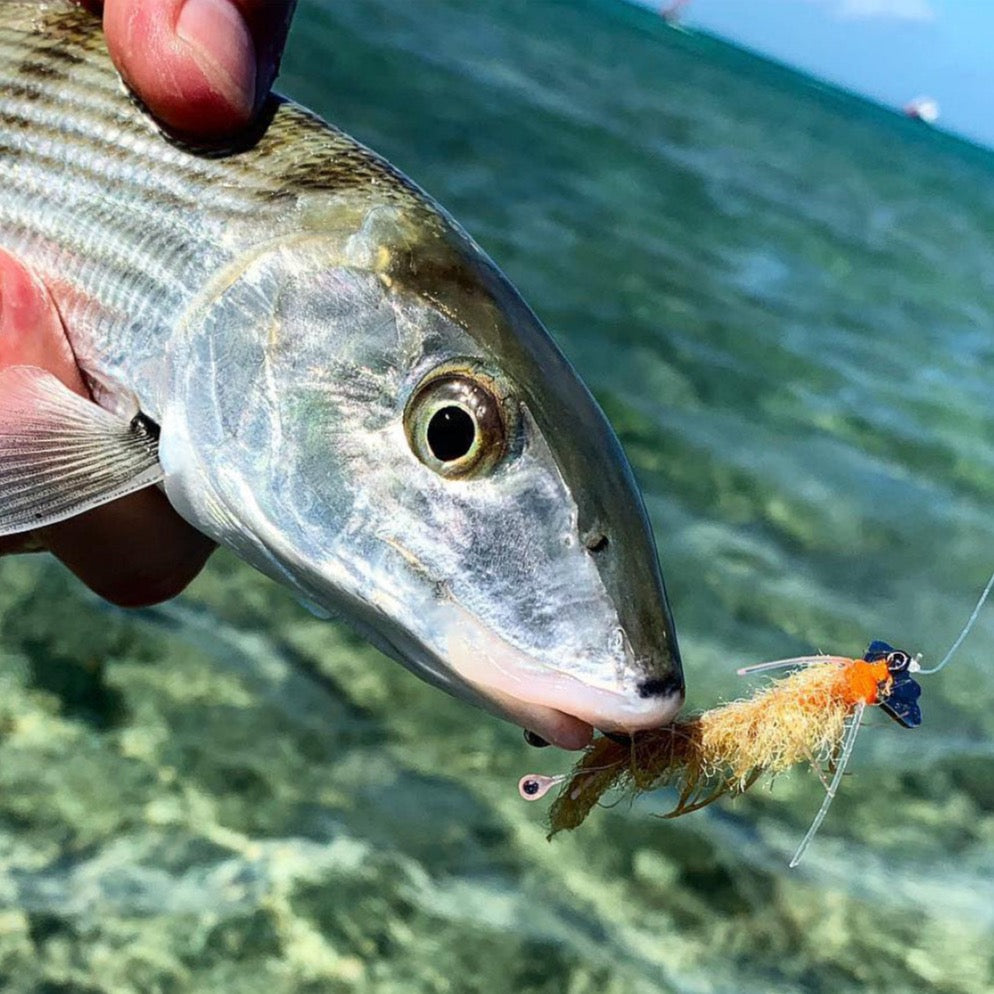 Bonefish Range Fish-Skull SCT Bonefish Fly Range - Flymen Fishing Company