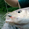 Fish-Skull® Foxy Shrimp™ - Flymen Fishing Company
 - 2