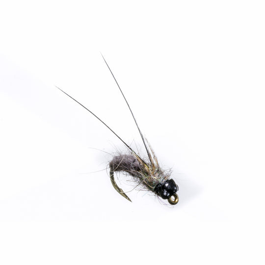 Nymph-Head® Evolution™ Caddis Pupa - Flymen Fishing Company
 - 5
