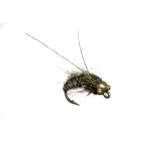 Nymph-Head® Evolution™ Caddis Pupa - Flymen Fishing Company
 - 1