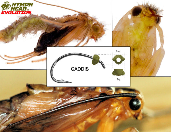 Nymph-Head® Evolution™ Caddis tungsten beadheads - Flymen Fishing Company
 - 5