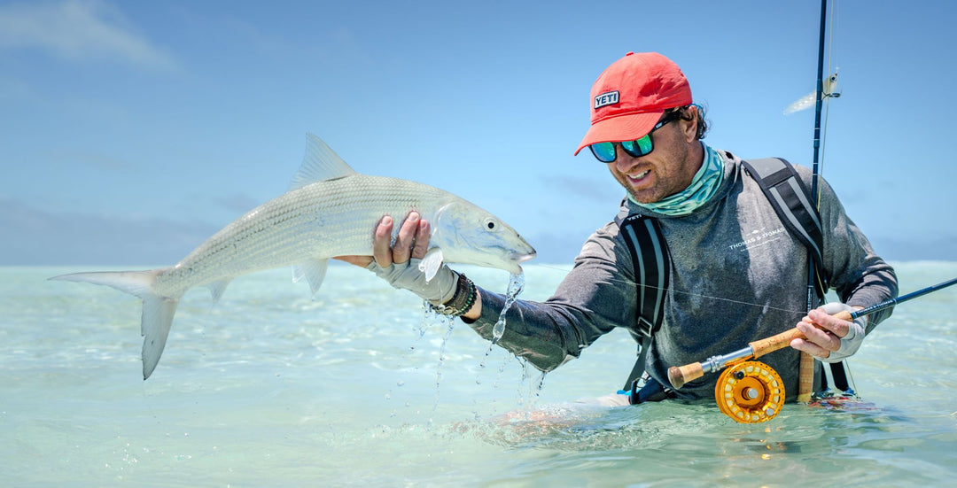 The Complete Seychelles Fly Assortment