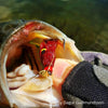 NEW Fish-Skull® Shrimp & Cray Tail™ - Flymen Fishing Company
 - 23