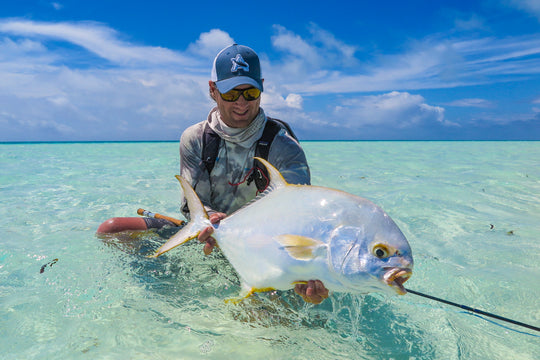 The Complete Seychelles Fly Assortment