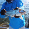 NEW Fish-Skull® Shrimp & Cray Tail™ - Flymen Fishing Company
 - 28