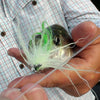 NEW Fish-Skull® Shrimp & Cray Tail™ - Flymen Fishing Company
 - 20