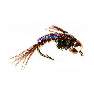 The Fly Fishing Place Tungsten Bead Head Nymph Fly Fishing Flies -  Flashback Pheasant Tail Trout Fly - Nymph Wet Fly - 6 Flies Hook Size 16
