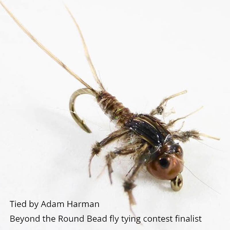 Nymph-Head® Evolution™ Mayfly Clinger & Crawler tungsten beadheads - Flymen Fishing Company
 - 2