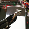 Nymph-Head® Evolution™ Mayfly Swimmer & Burrower tungsten beadheads - Flymen Fishing Company
 - 2