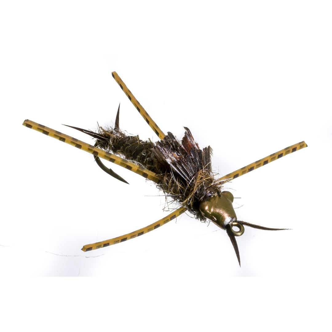 Nymph-Head® Evolution™ Stonefly - Flymen Fishing Company
 - 1