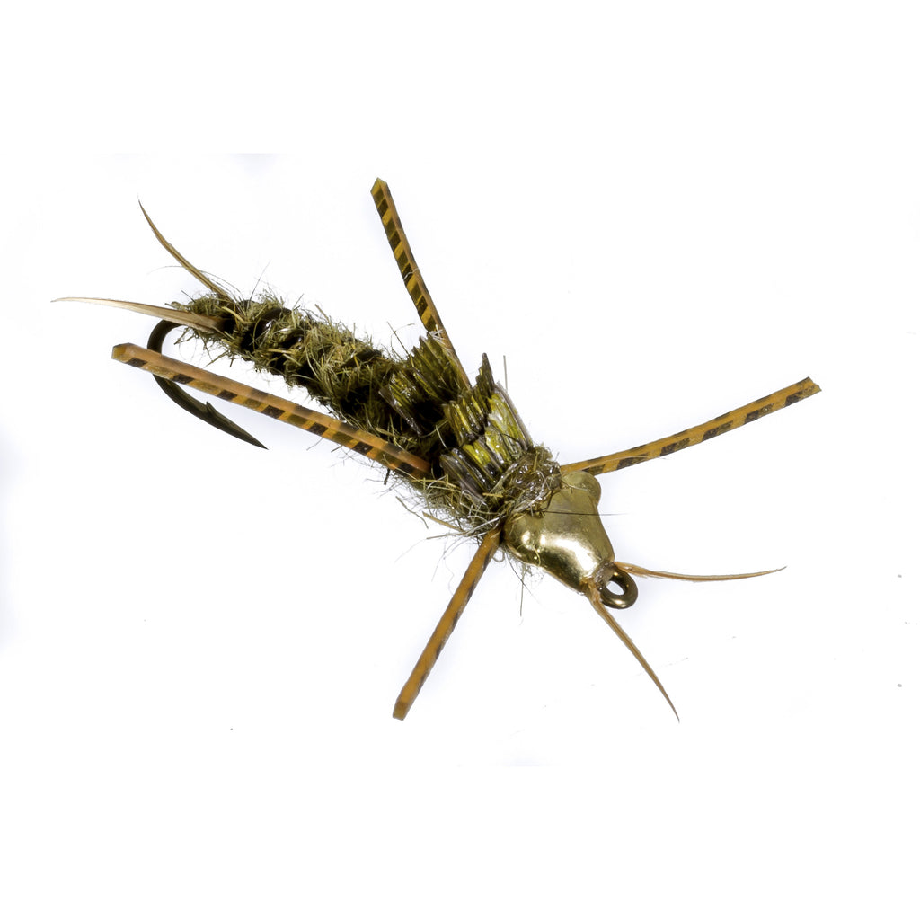 Nymph-Head® Evolution™ Stonefly - Flymen Fishing Company
 - 6